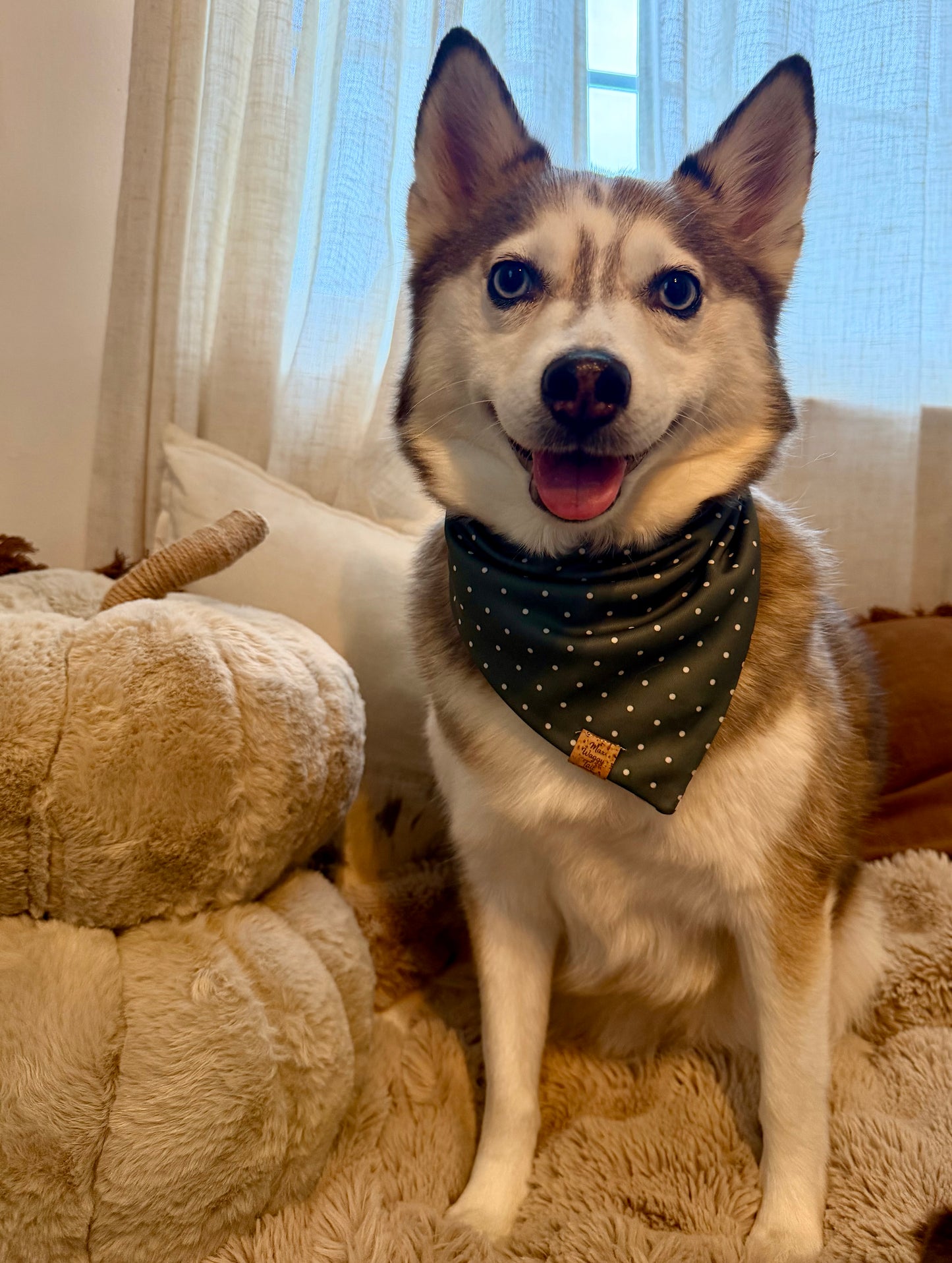 Fall Leaves and Polka Dot Bandana