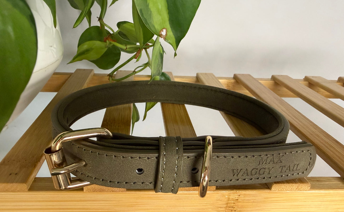 Olive Green Vegan Collar