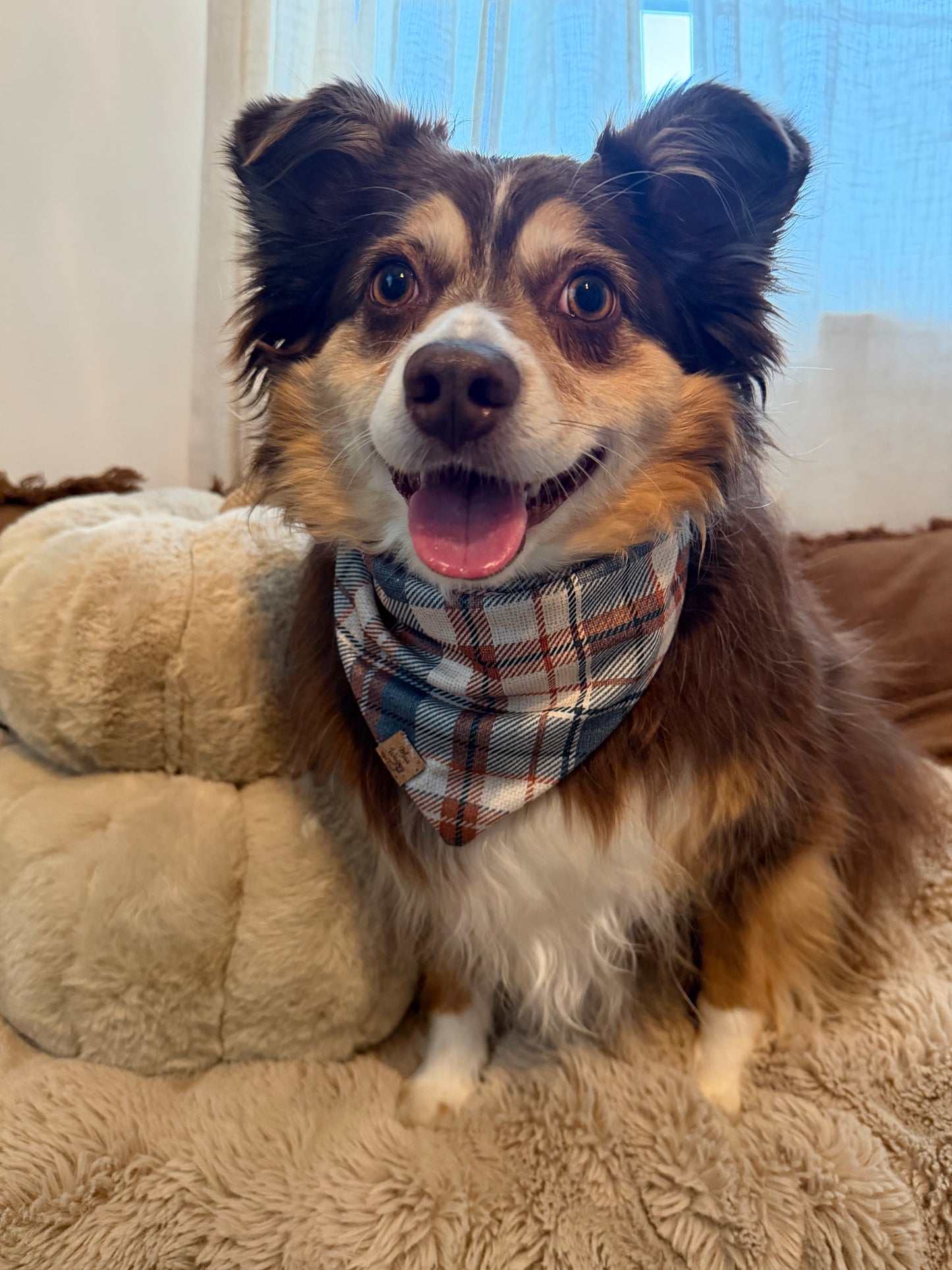 Pumpkin & Plaid Bandana