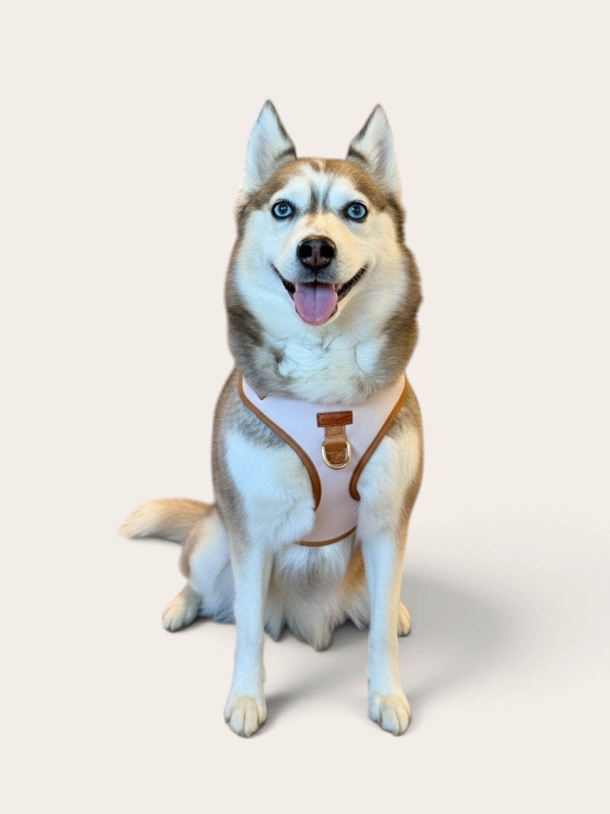 Walk