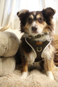 Olive Harness