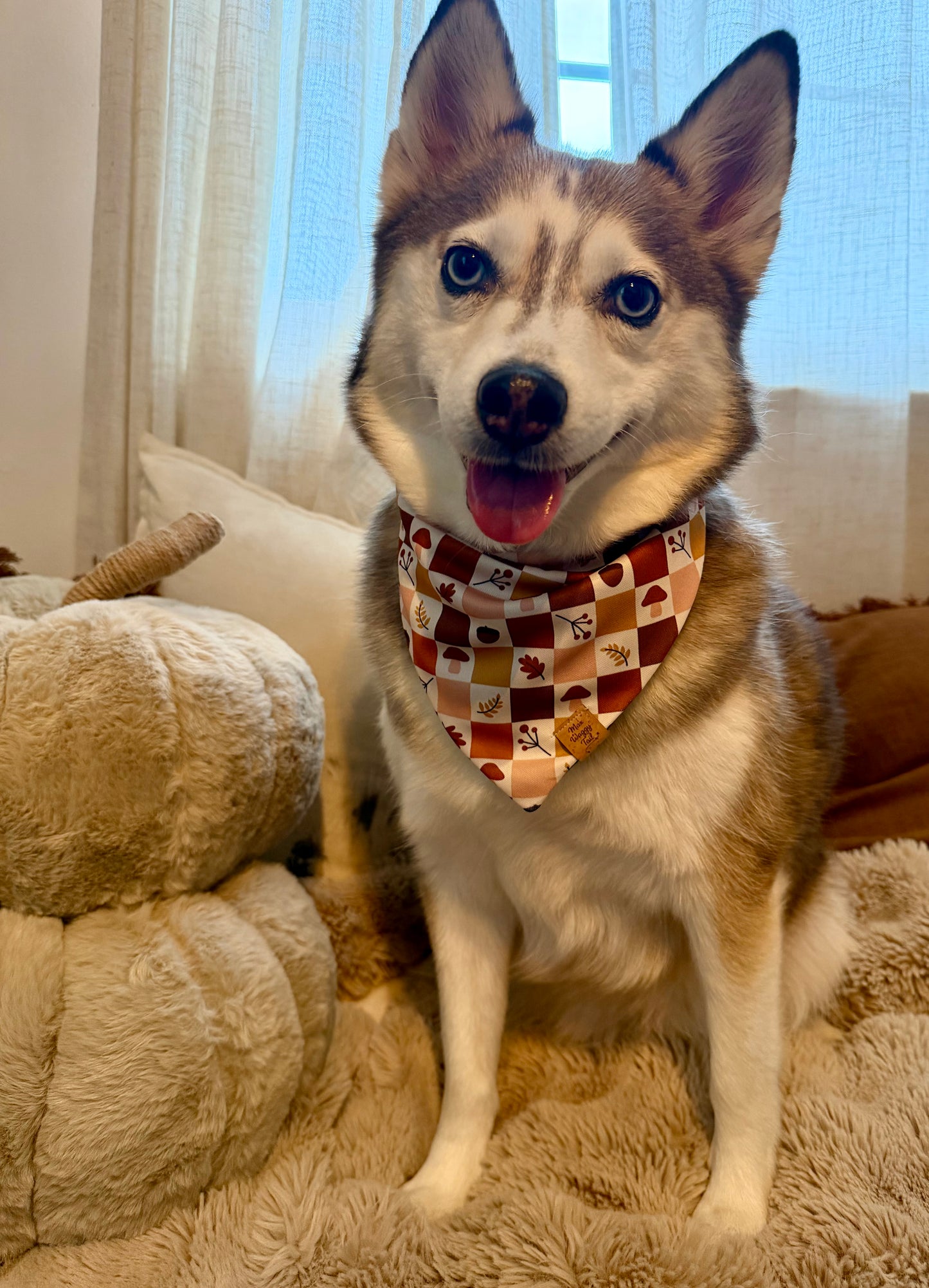 Fall Leaves and Polka Dot Bandana