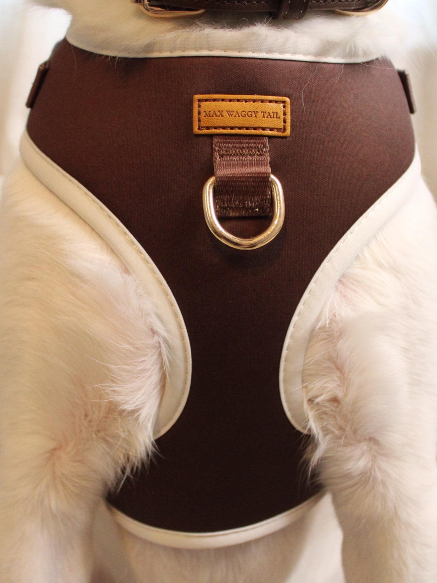 Cocoa Harness