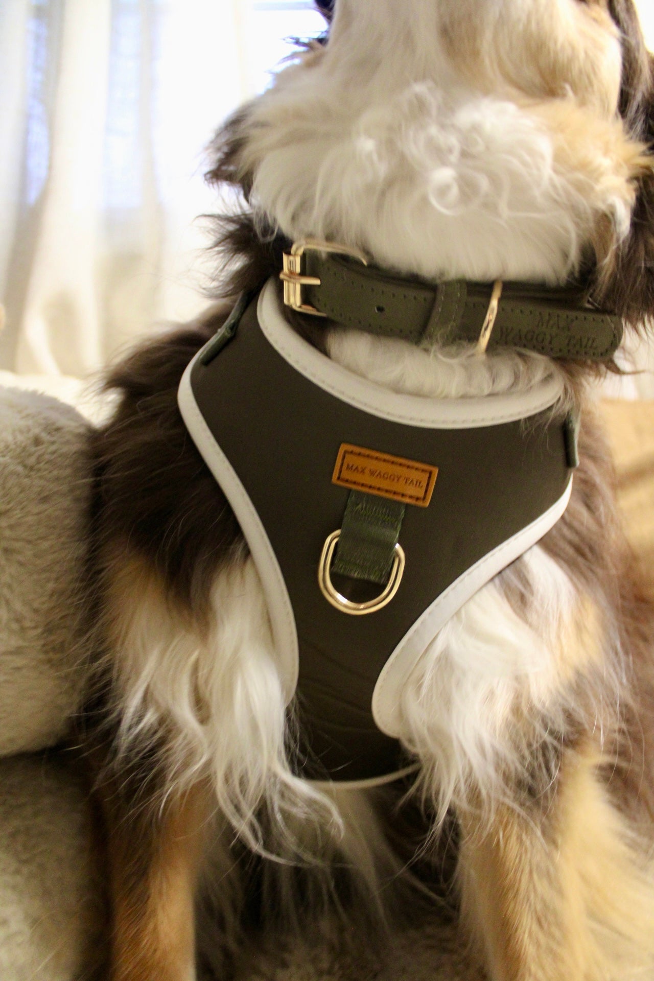 Olive Harness