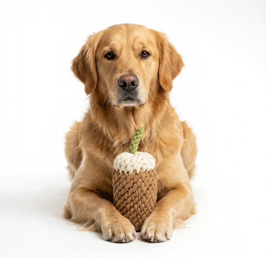 Handcrafted Coffee Pet Toy | Sustainable | Pet Chew Toy