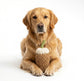 Handcrafted Coffee Pet Toy | Sustainable | Pet Chew Toy