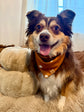 Pumpkin & Plaid Bandana