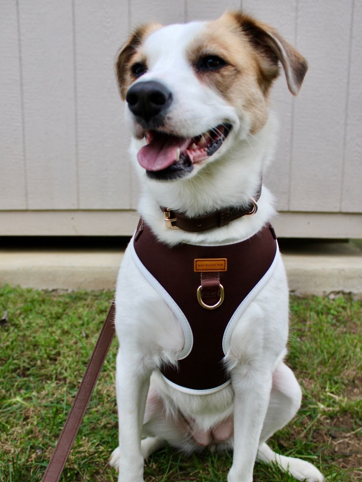 Cocoa Harness
