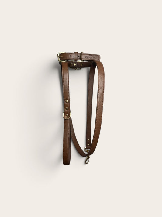 Cocoa Collar + Leash Set