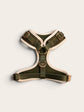 Olive Harness